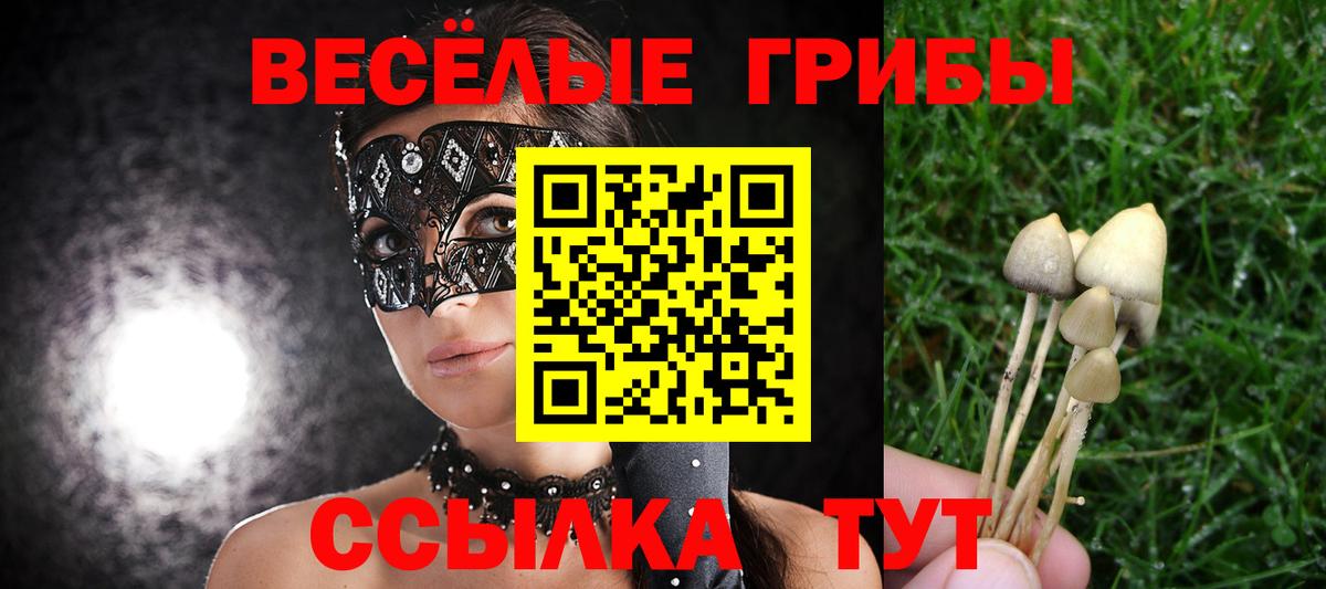 Галлюциногенные грибы прущие грибы  Вход с VPN  Галлюциногенные грибы ЛСД  Заречный 